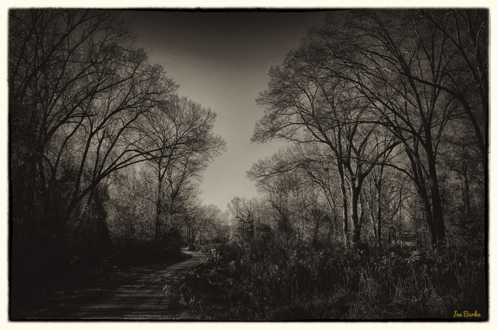 Mill Creek-150106-L1009344_HDR-Edit-4