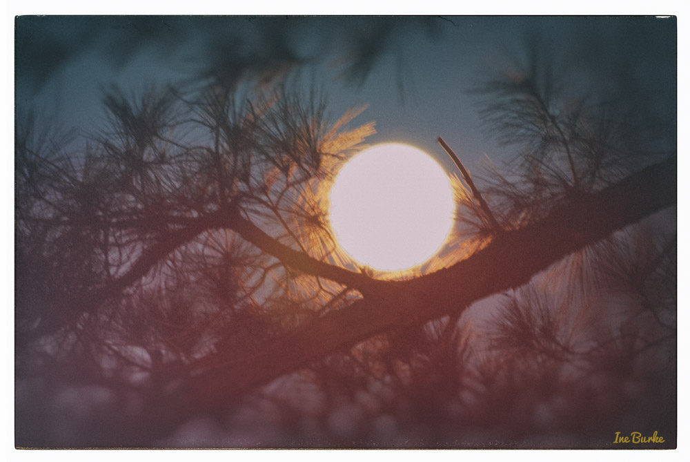 Craddled Moon-150306-146_0072-Edit