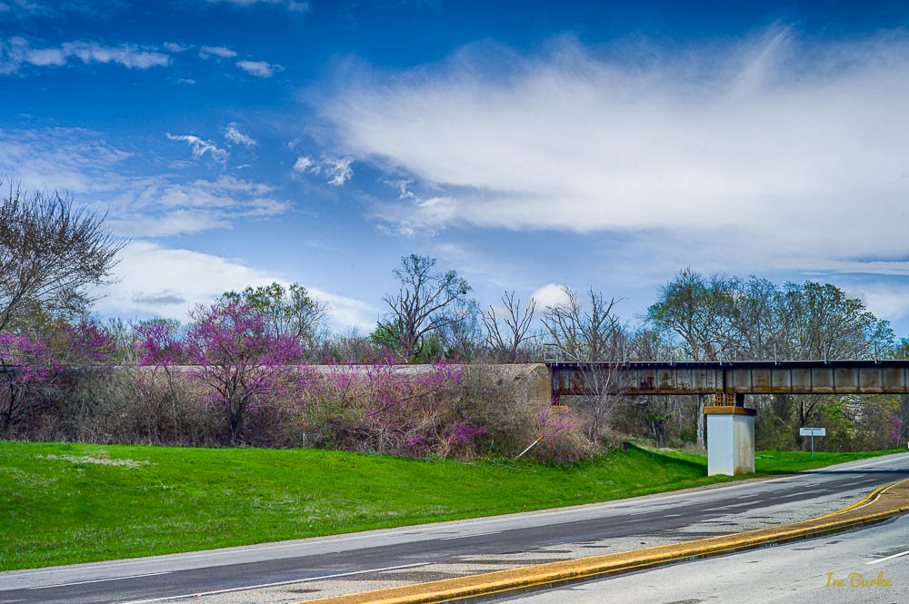 VZC Spring-160312-L1012789