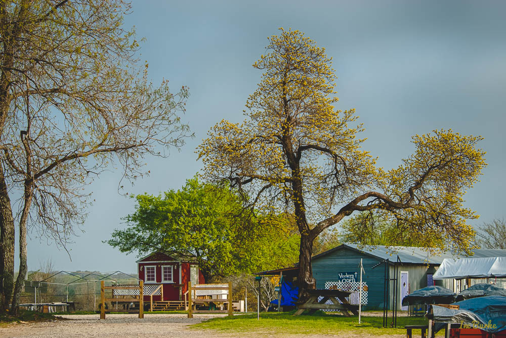 VZC Spring-160315-159_0105