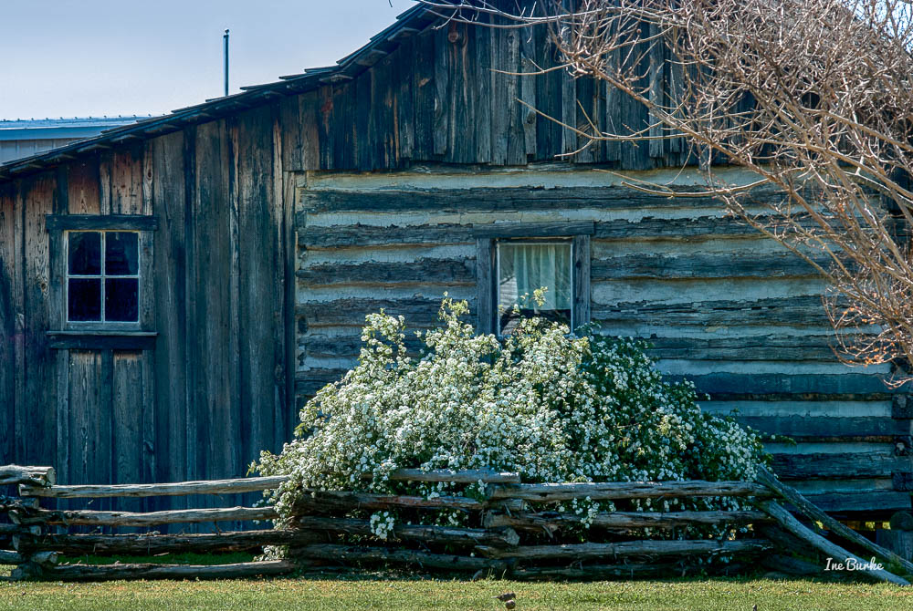 VZC Spring-160319-160_0009