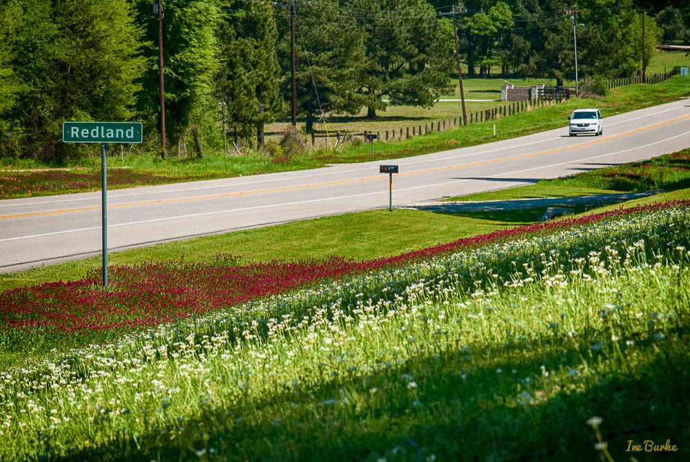 VZC Spring-160402-163_0036