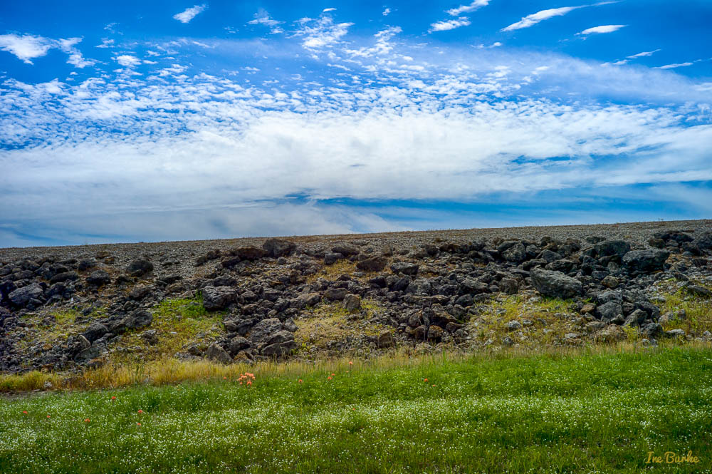 VZC Spring-160408-L1013220