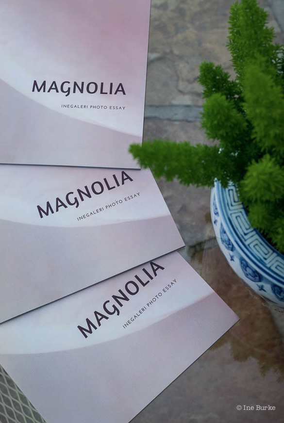 Magnolia Promo-170627-L1001406