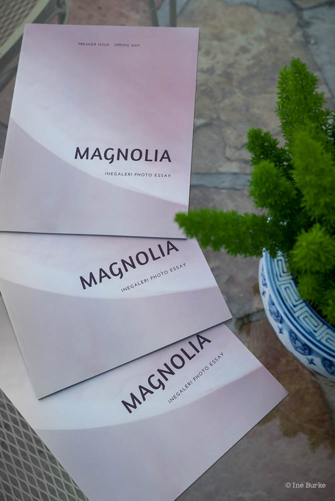 Magnolia Promo-170627-L1001406