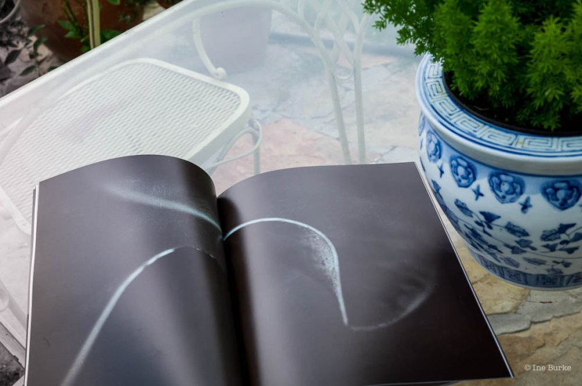 Magnolia Promo-170627-L1001408