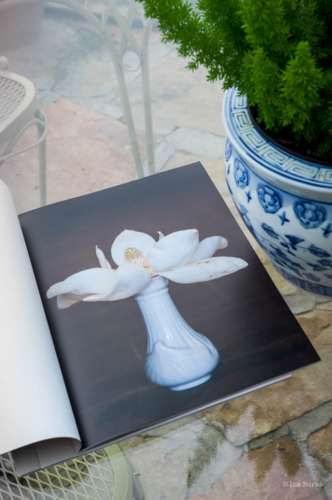 Magnolia Promo-170627-L1001409